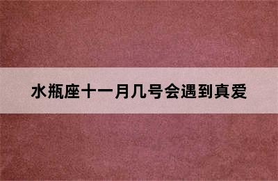 水瓶座十一月几号会遇到真爱