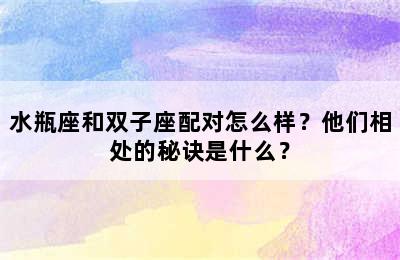 水瓶座和双子座配对怎么样？他们相处的秘诀是什么？