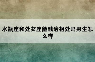 水瓶座和处女座能融洽相处吗男生怎么样