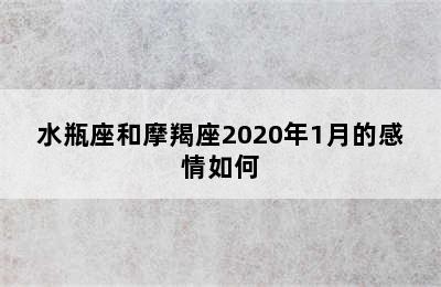 水瓶座和摩羯座2020年1月的感情如何