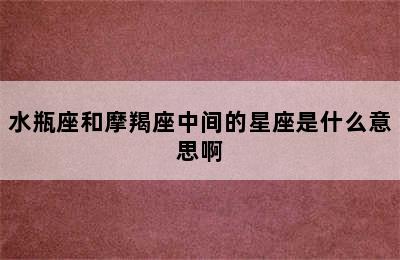 水瓶座和摩羯座中间的星座是什么意思啊