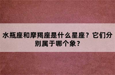 水瓶座和摩羯座是什么星座？它们分别属于哪个象？