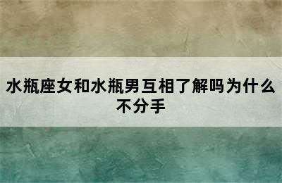 水瓶座女和水瓶男互相了解吗为什么不分手