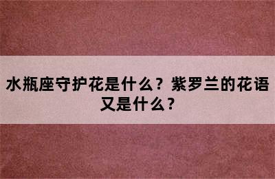 水瓶座守护花是什么？紫罗兰的花语又是什么？