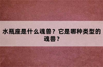 水瓶座是什么魂兽？它是哪种类型的魂兽？