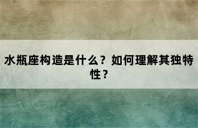 水瓶座构造是什么？如何理解其独特性？
