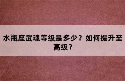 水瓶座武魂等级是多少？如何提升至高级？