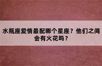 水瓶座爱情最配哪个星座？他们之间会有火花吗？