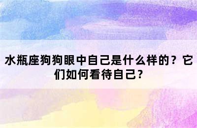 水瓶座狗狗眼中自己是什么样的？它们如何看待自己？