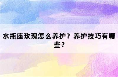 水瓶座玫瑰怎么养护？养护技巧有哪些？