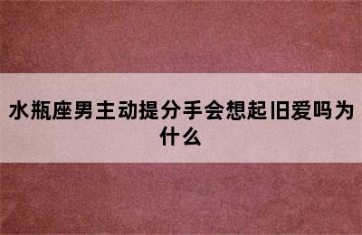 水瓶座男主动提分手会想起旧爱吗为什么