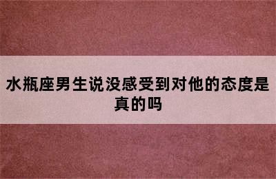 水瓶座男生说没感受到对他的态度是真的吗