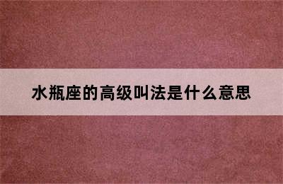 水瓶座的高级叫法是什么意思