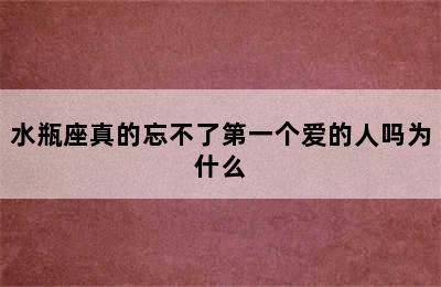 水瓶座真的忘不了第一个爱的人吗为什么