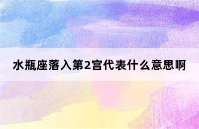 水瓶座落入第2宫代表什么意思啊