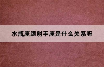 水瓶座跟射手座是什么关系呀