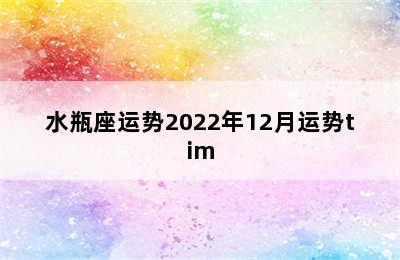 水瓶座运势2022年12月运势tim