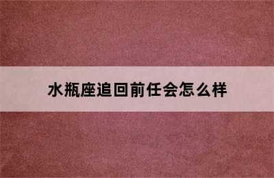 水瓶座追回前任会怎么样