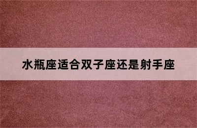 水瓶座适合双子座还是射手座