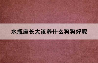 水瓶座长大该养什么狗狗好呢