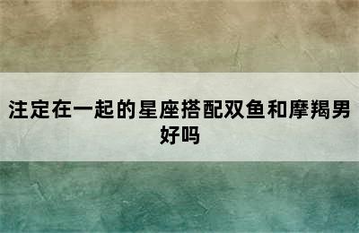 注定在一起的星座搭配双鱼和摩羯男好吗