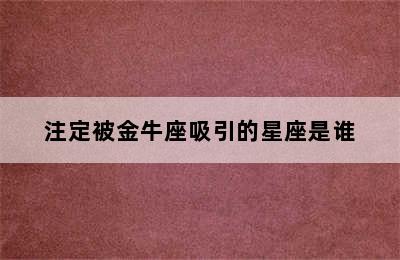 注定被金牛座吸引的星座是谁