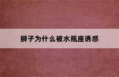 狮子为什么被水瓶座诱惑