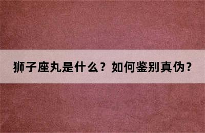 狮子座丸是什么？如何鉴别真伪？