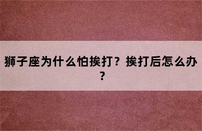 狮子座为什么怕挨打？挨打后怎么办？