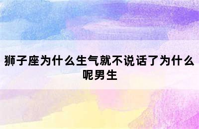 狮子座为什么生气就不说话了为什么呢男生