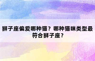 狮子座偏爱哪种猫？哪种猫咪类型最符合狮子座？