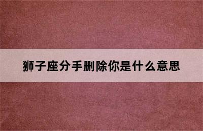 狮子座分手删除你是什么意思