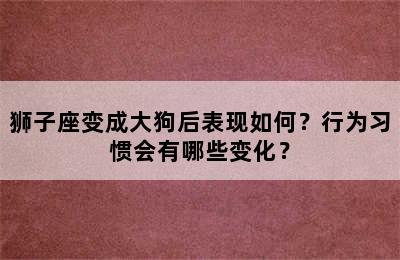 狮子座变成大狗后表现如何？行为习惯会有哪些变化？