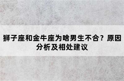 狮子座和金牛座为啥男生不合？原因分析及相处建议