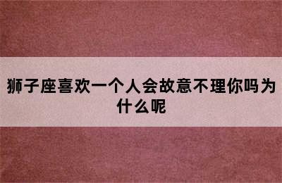 狮子座喜欢一个人会故意不理你吗为什么呢