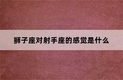 狮子座对射手座的感觉是什么