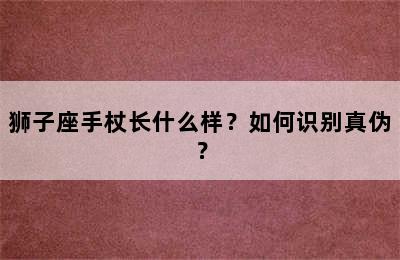 狮子座手杖长什么样？如何识别真伪？