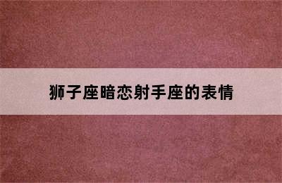 狮子座暗恋射手座的表情