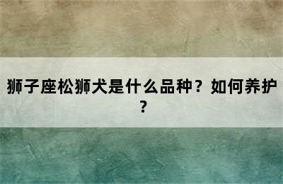 狮子座松狮犬是什么品种？如何养护？