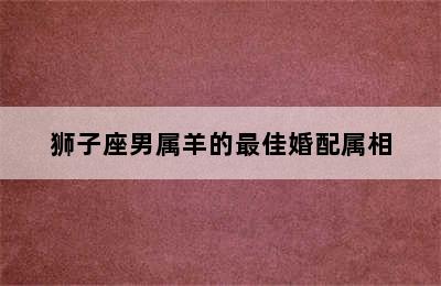 狮子座男属羊的最佳婚配属相