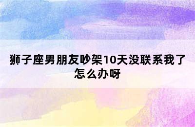 狮子座男朋友吵架10天没联系我了怎么办呀