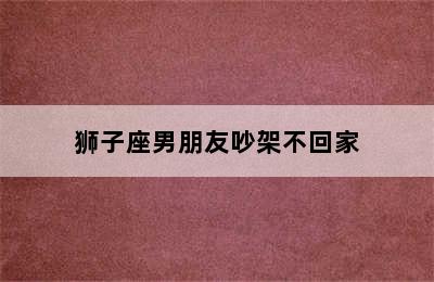 狮子座男朋友吵架不回家