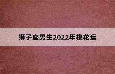 狮子座男生2022年桃花运