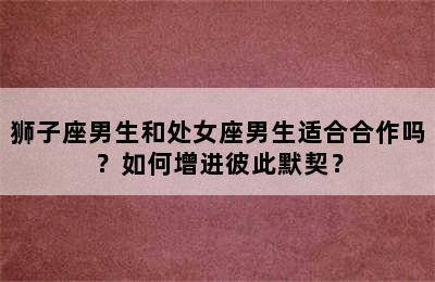 狮子座男生和处女座男生适合合作吗？如何增进彼此默契？