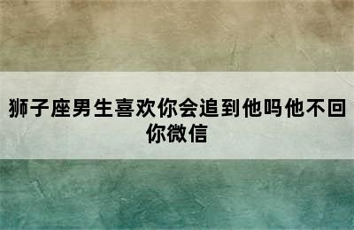 狮子座男生喜欢你会追到他吗他不回你微信