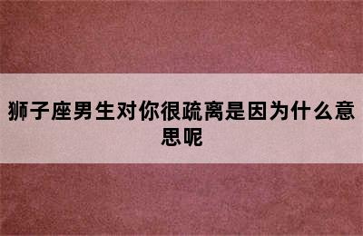 狮子座男生对你很疏离是因为什么意思呢