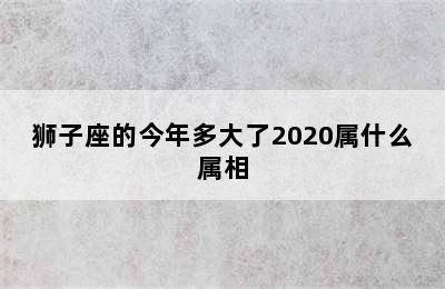 狮子座的今年多大了2020属什么属相