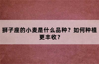 狮子座的小麦是什么品种？如何种植更丰收？