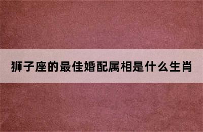 狮子座的最佳婚配属相是什么生肖