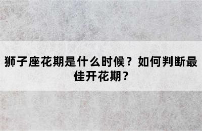 狮子座花期是什么时候？如何判断最佳开花期？